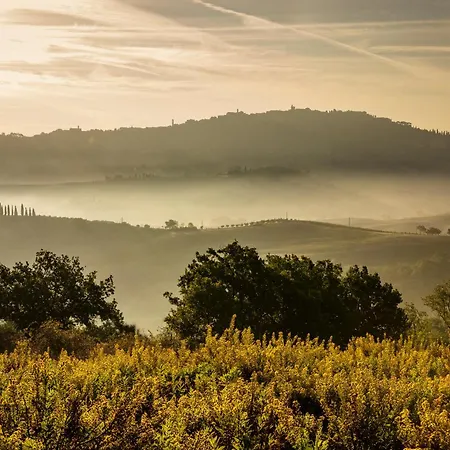 Lupaia * Montepulciano